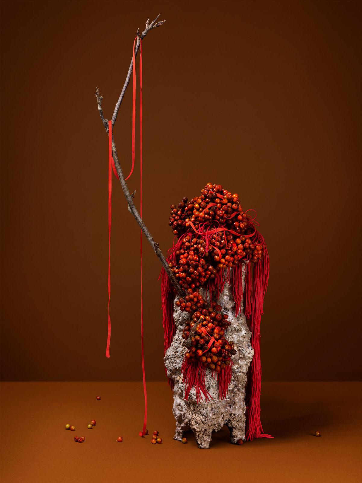 Ann Shelton, Tied together with red thread (rowan, moon tree, mountain ash), 2022 ongoing