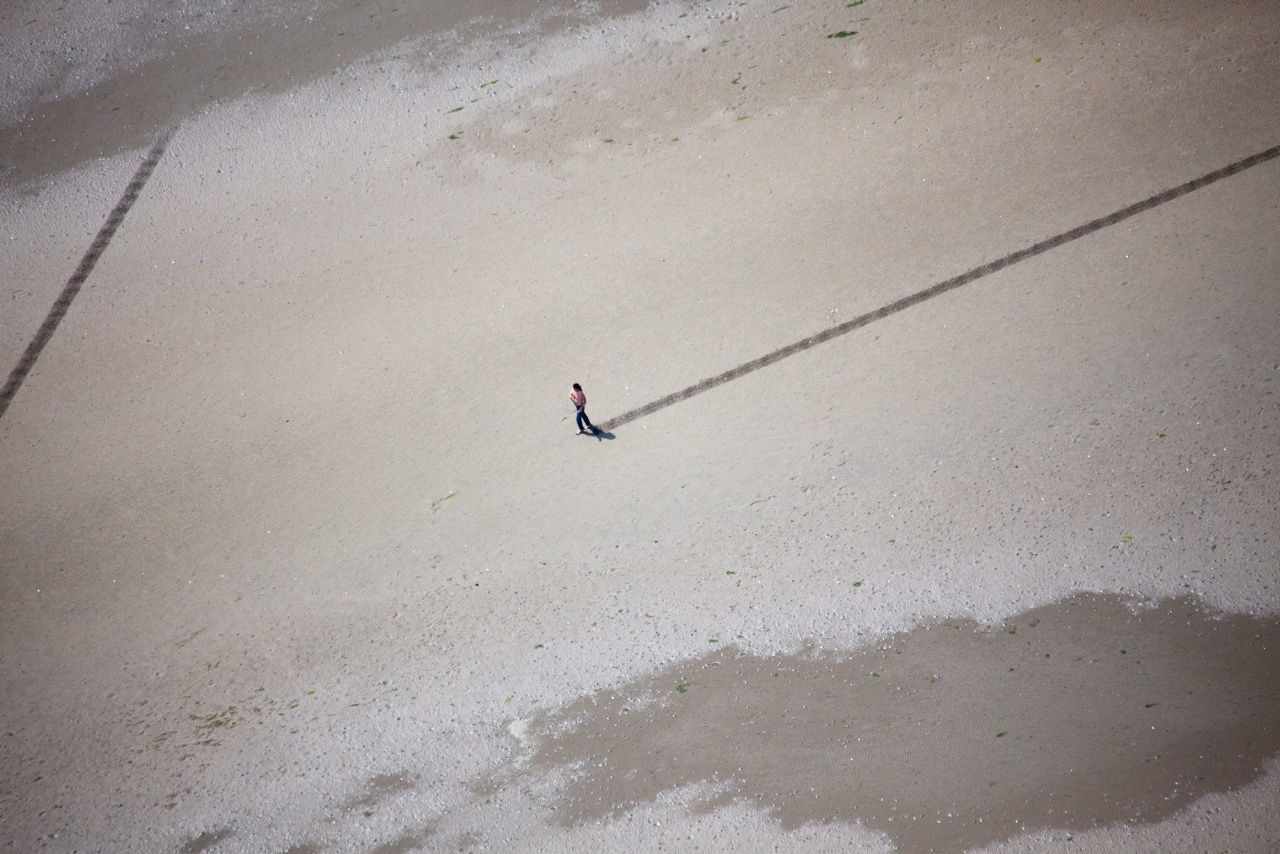 Jim Denevan, Vancouver Biennale, 2010