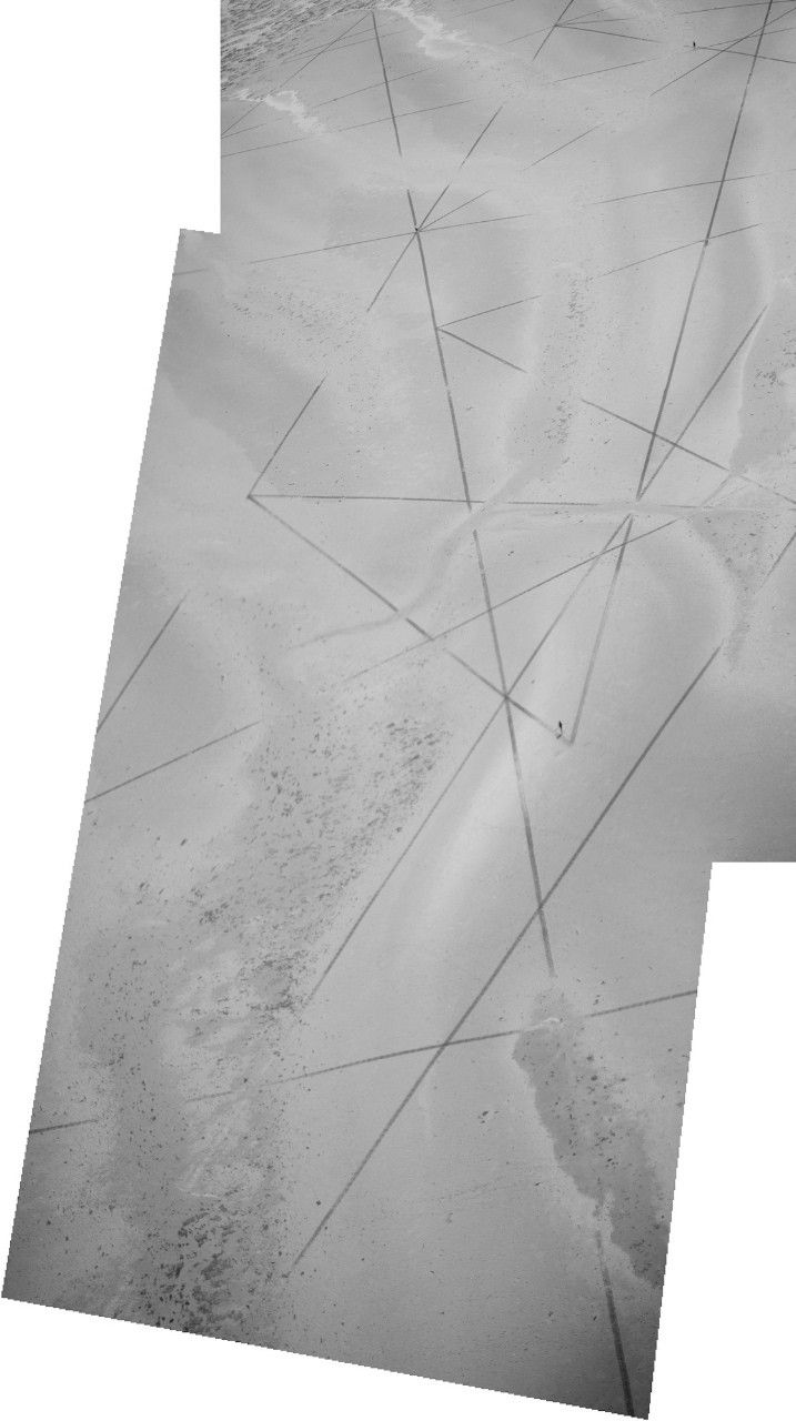 Jim Denevan, Vancouver Biennale, 2010