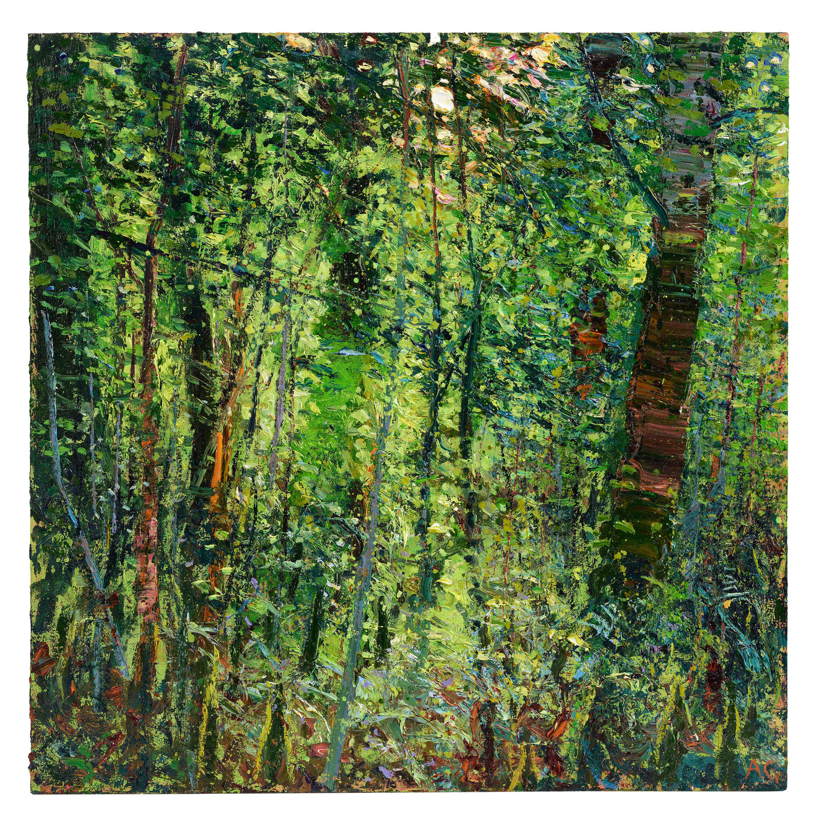 Andrew Gifford, 60. Towards Sun Borrowdale, 2024