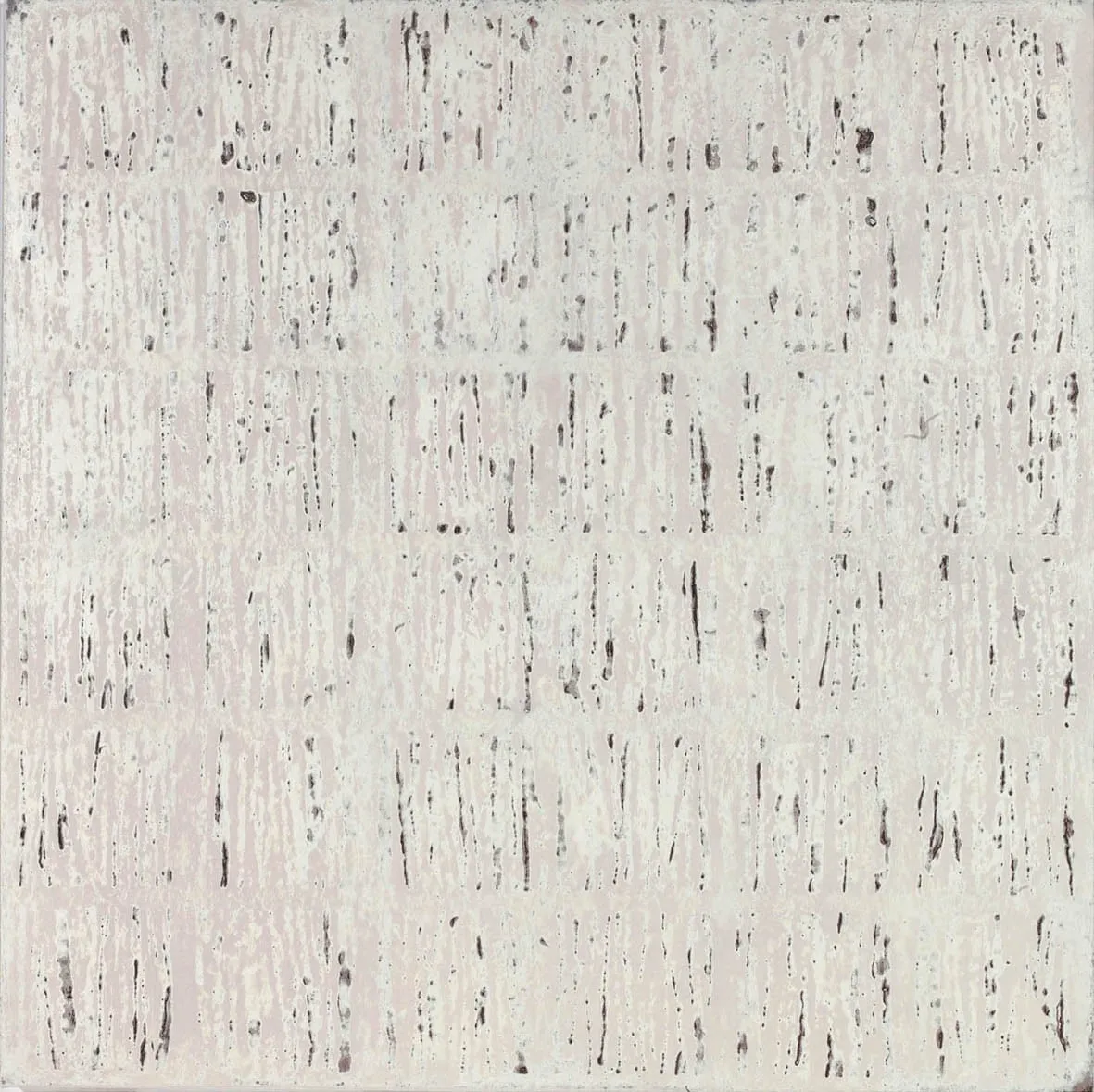 Makiko Nakamura, Sugar Rain