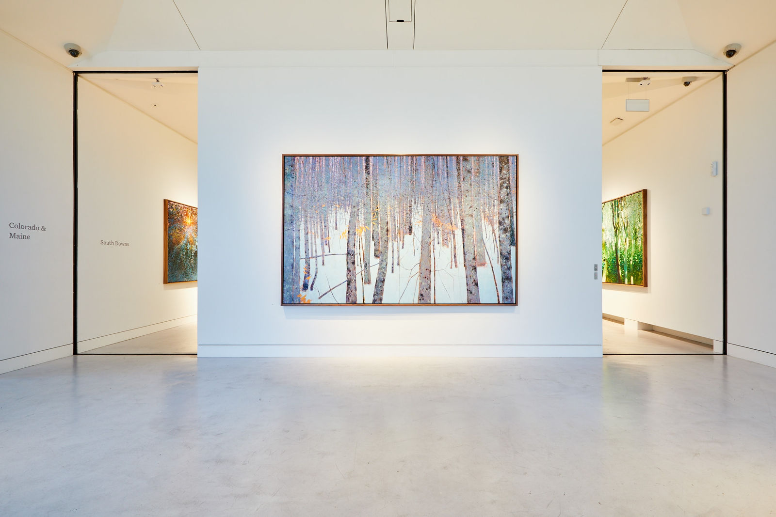 Andrew Gifford, 14. Snowy Woods near Ellsworth, Maine I, 2023