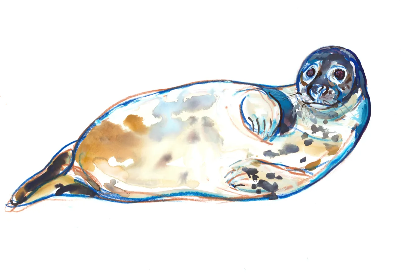 Mark Adlington, Senseal, 2022