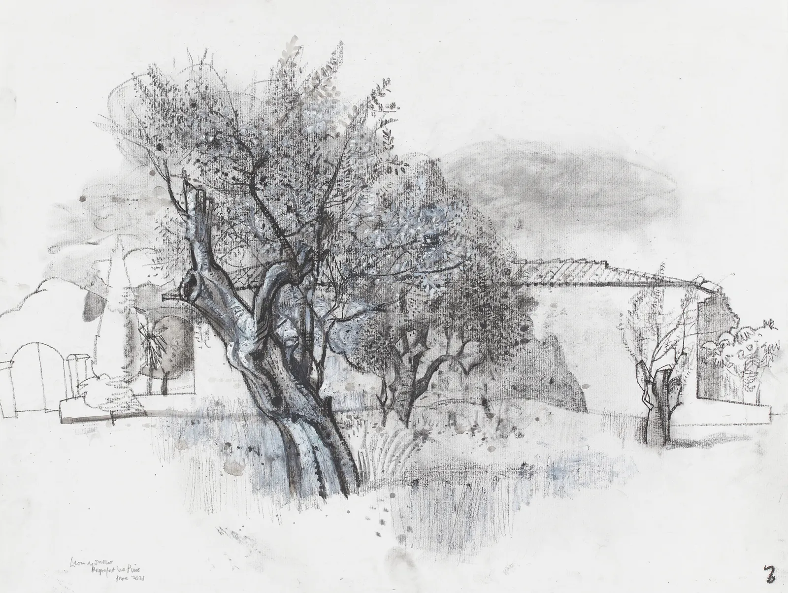 Olive Trees against a Farmhouse Wall, Roquefort-les-Pins, 2021 by artist Leon Morrocco