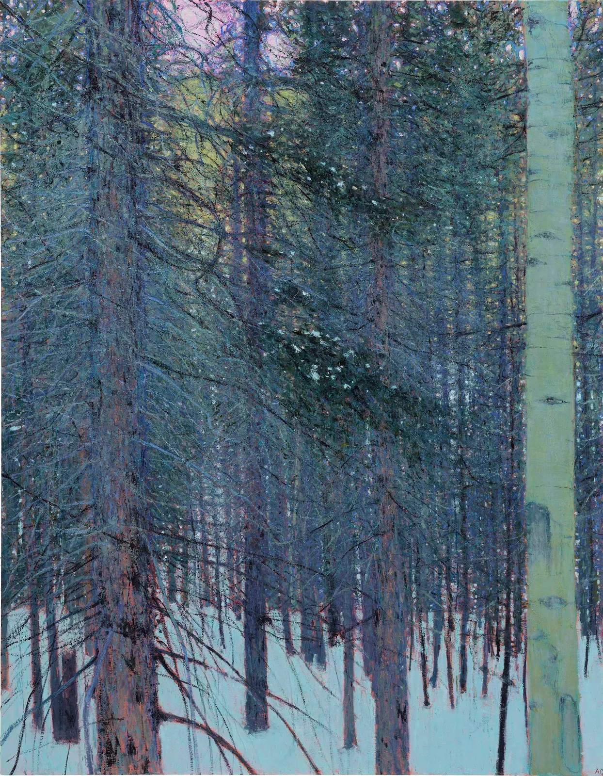 Andrew Gifford, 16. Pine and Aspen in The Rockies, Colorado I, 2023