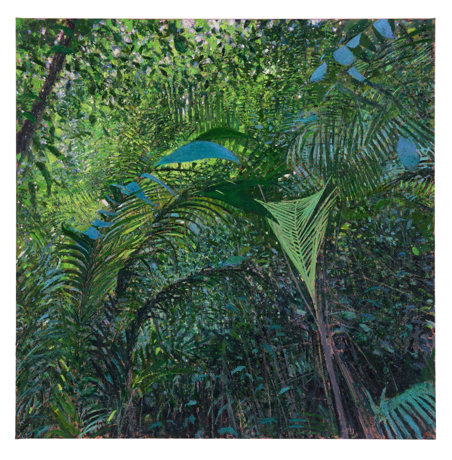 Andrew Gifford, Light through Jungle Plants, Arenal Volcano, 2025