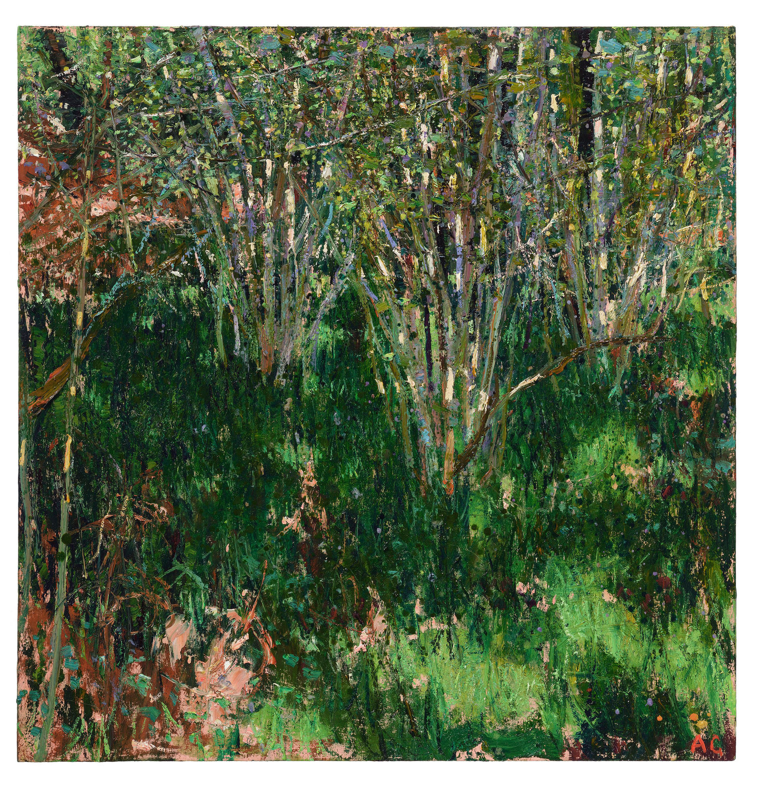 Andrew Gifford, 22. Cabilla, 2024/25