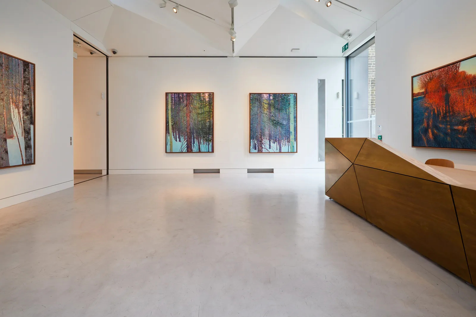 Andrew Gifford, 16. Pine and Aspen in The Rockies, Colorado I, 2023