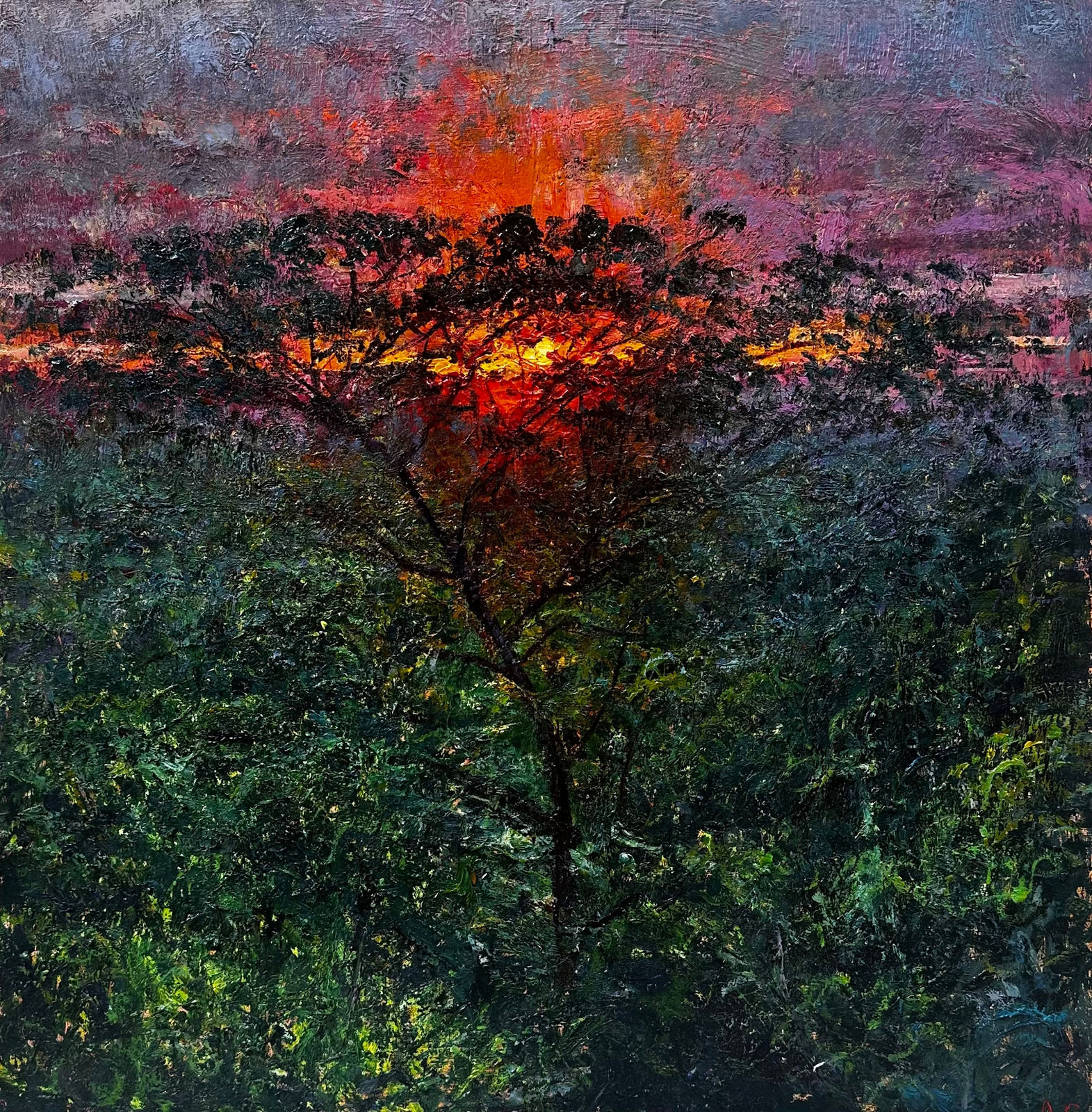 Andrew Gifford, Sunset, Nicoya II, 2025