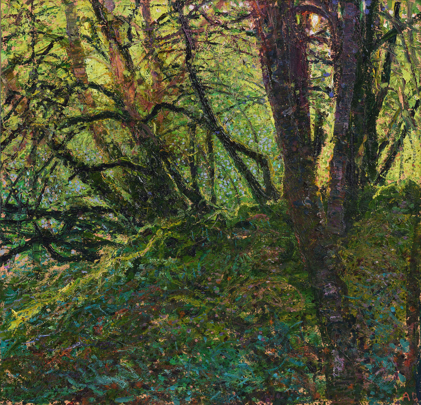 Andrew Gifford, 36. Oak and Beech Wood Late Evening near Tobermory, Mull, 2024