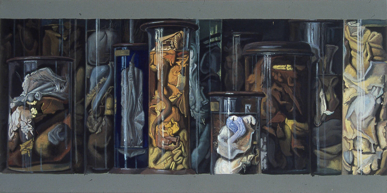 Stéphane Belzère, Bocaux anatomiques n°42, 1996-2003