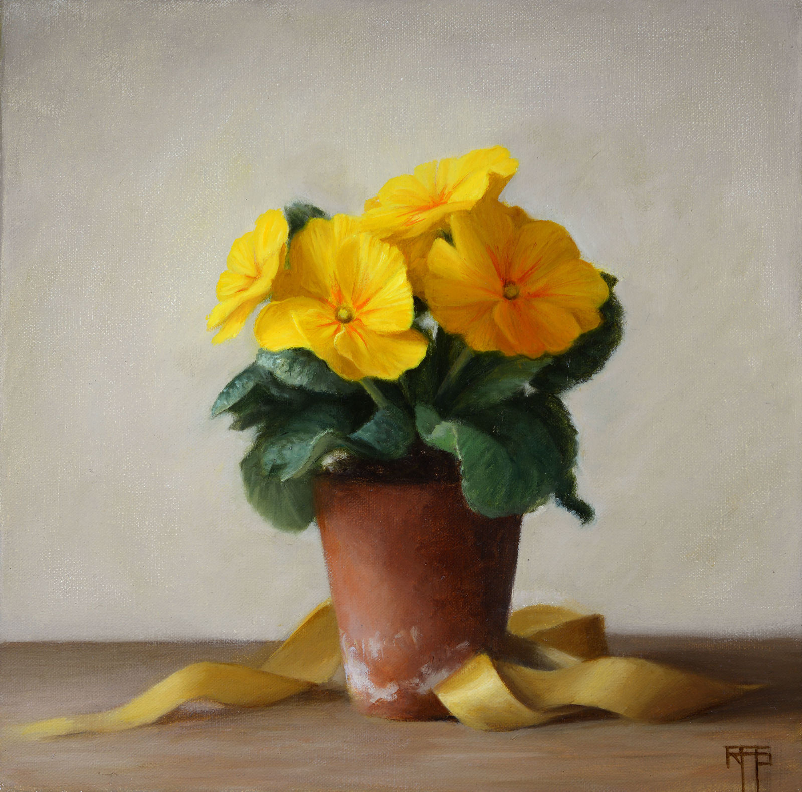 Raquel Alvarez Sardina MA SWA, Primulas