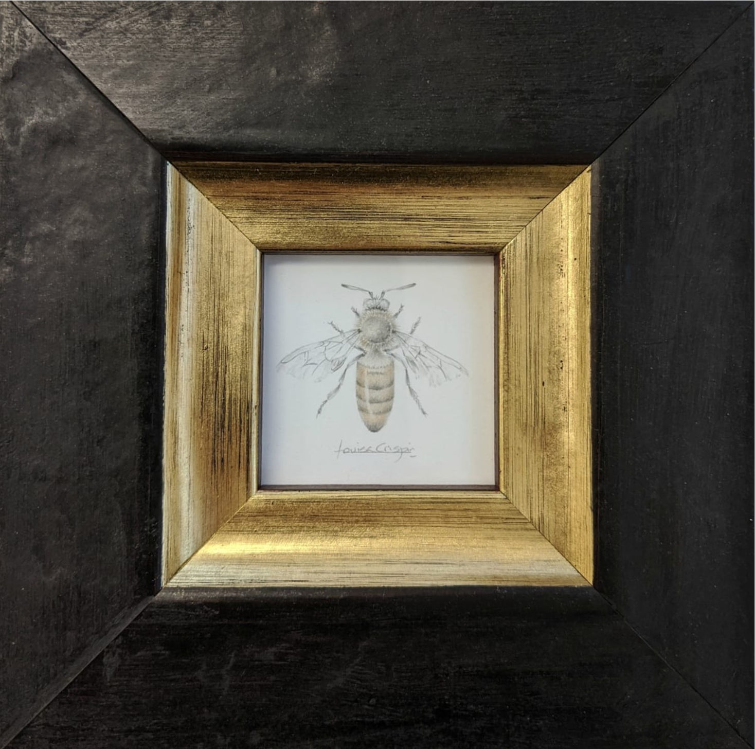Louisa Crispin, Honey Bee (HB001)