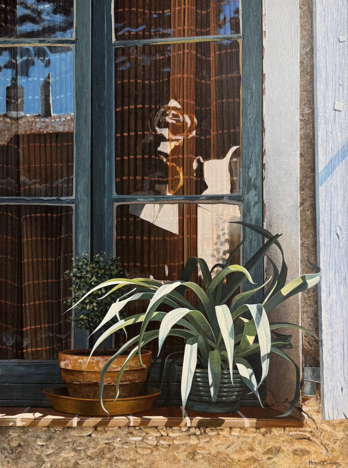 Peter Evans, Window Sill at Tourtour, France