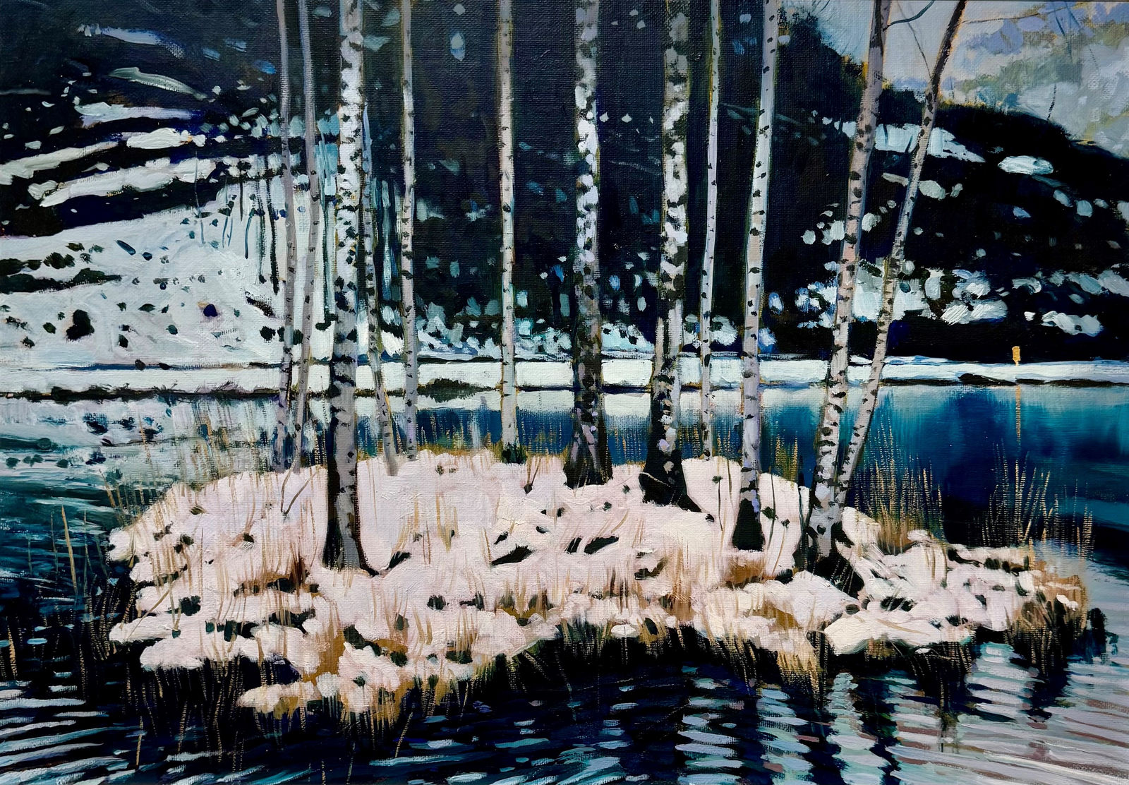 Haydn Cottam, Ice Island