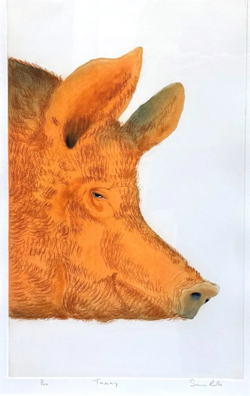 Stock Sale, Sonia Rollo: 'Tammy'