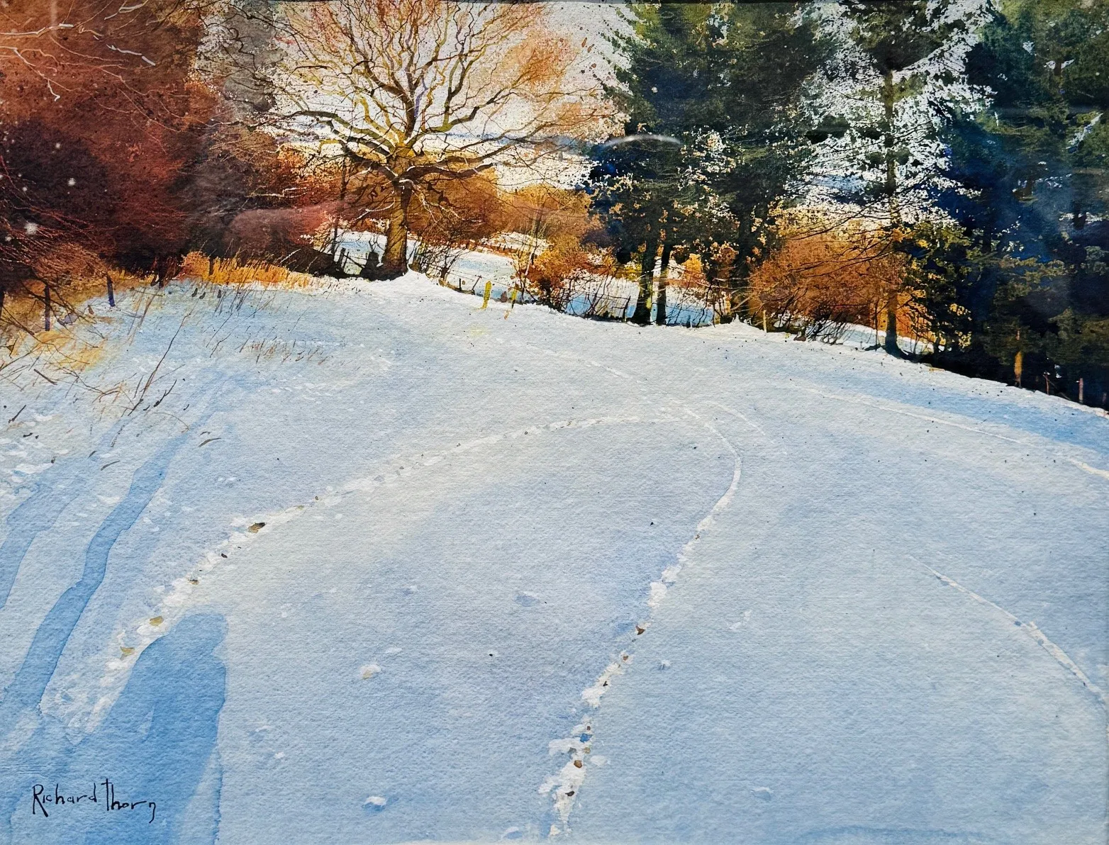 Stock Sale, Richard Thorn: 'Fox Tracks'