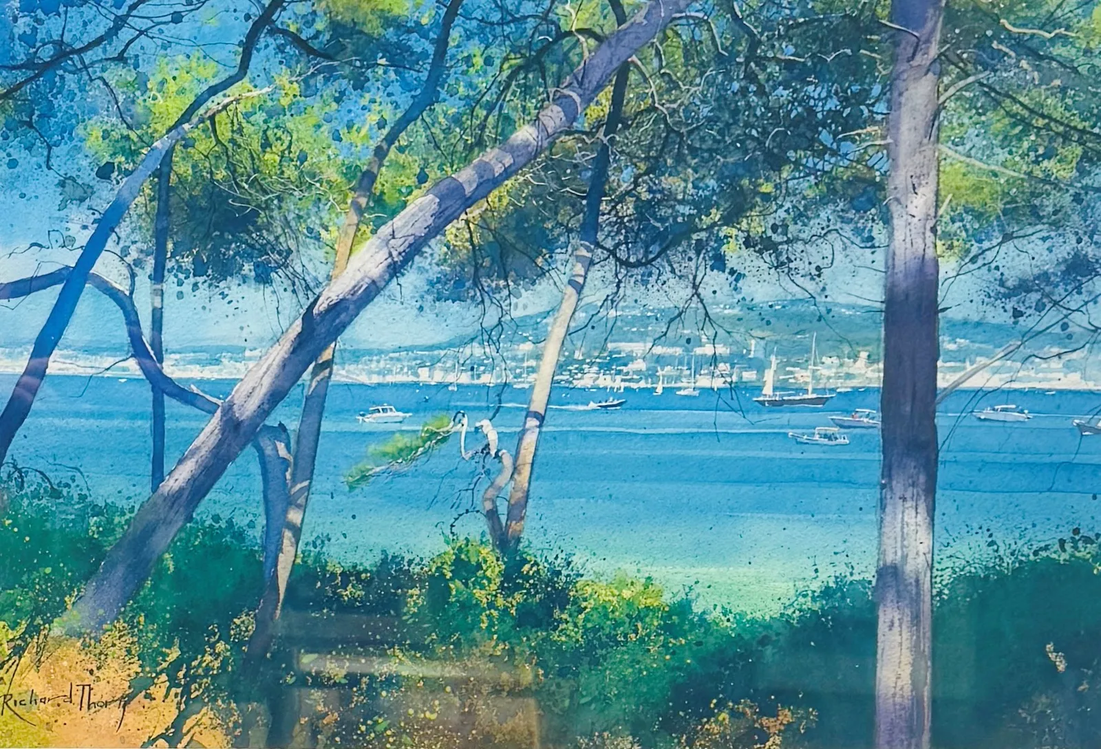 Stock Sale, Richard Thorn: 'Through the Pines Juan-Les-Pinn'