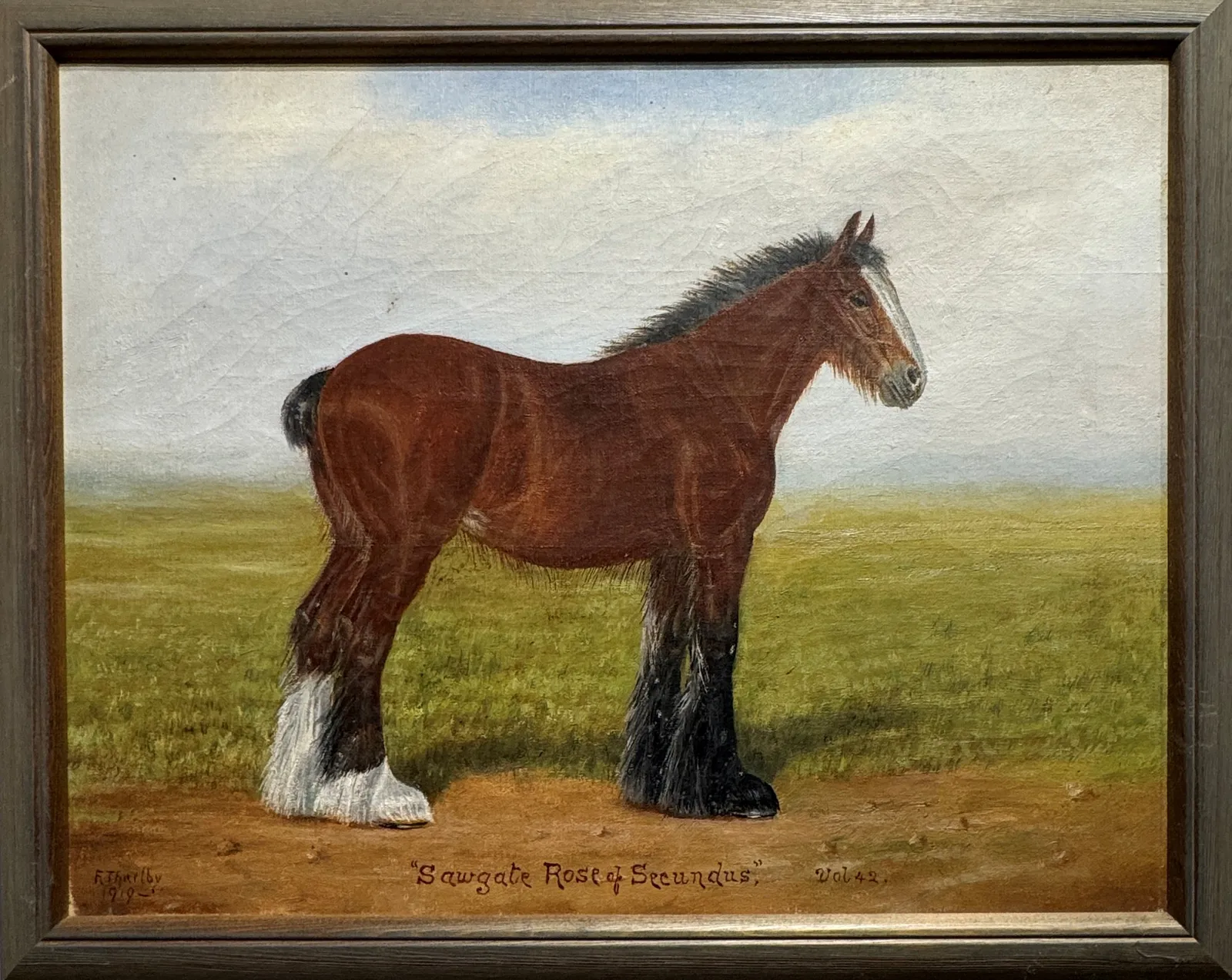 Stock Sale, Fred Thurley (1865-1946): 'Sawgate Rose of Secundus'