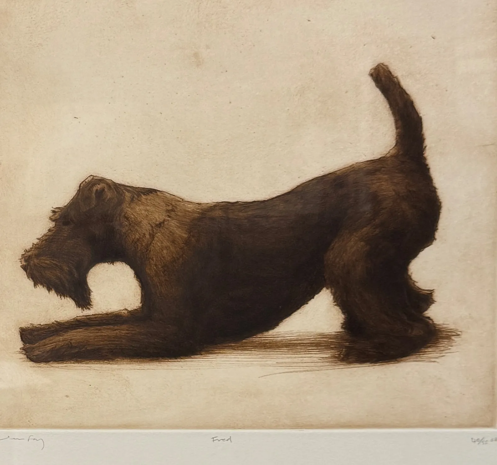 Stock Sale, Helen Fay (b.1968): 'Fred'