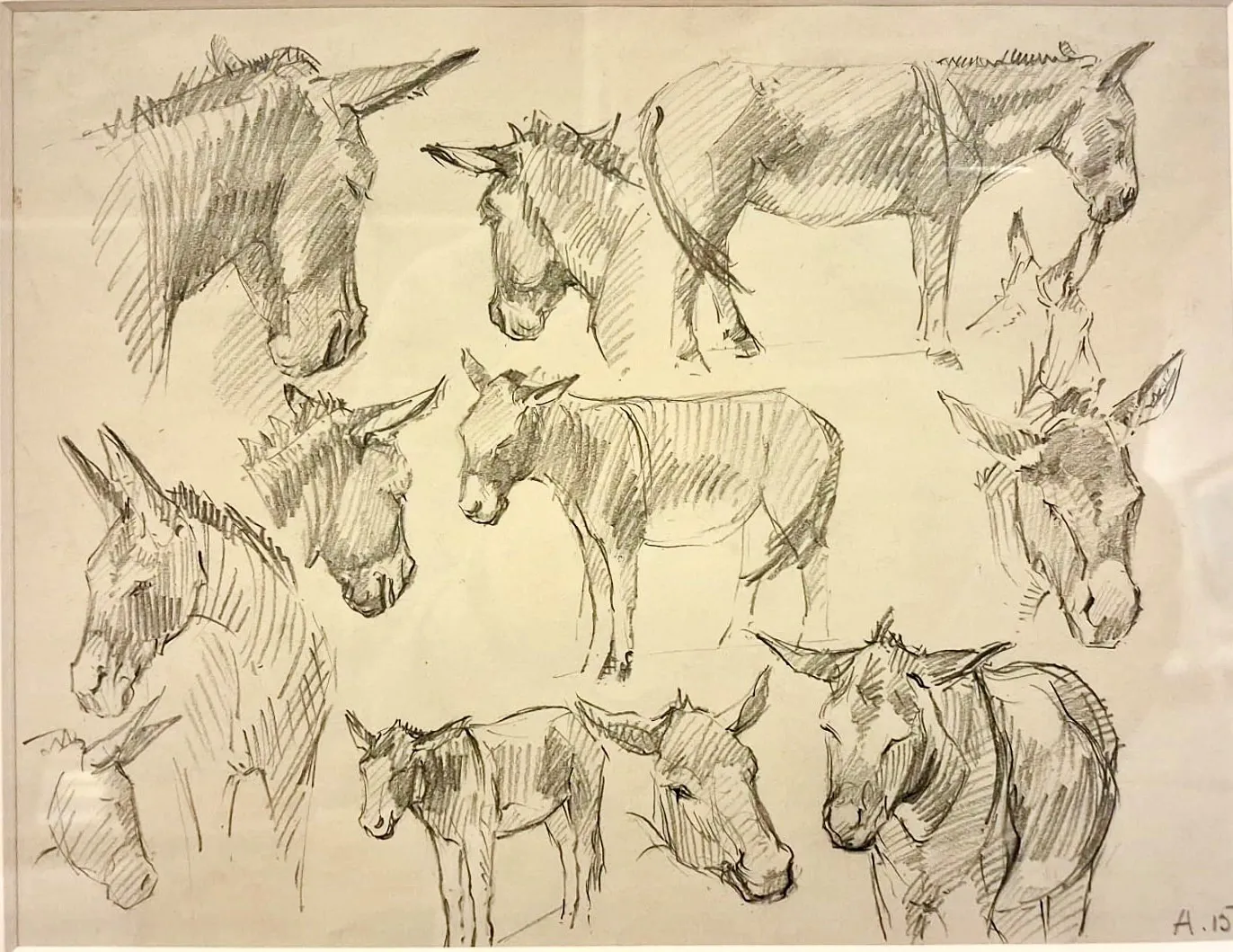 Stock Sale, Marjorie I Porter (Exhibited 1935-1940): 'Studies of Donkeys'