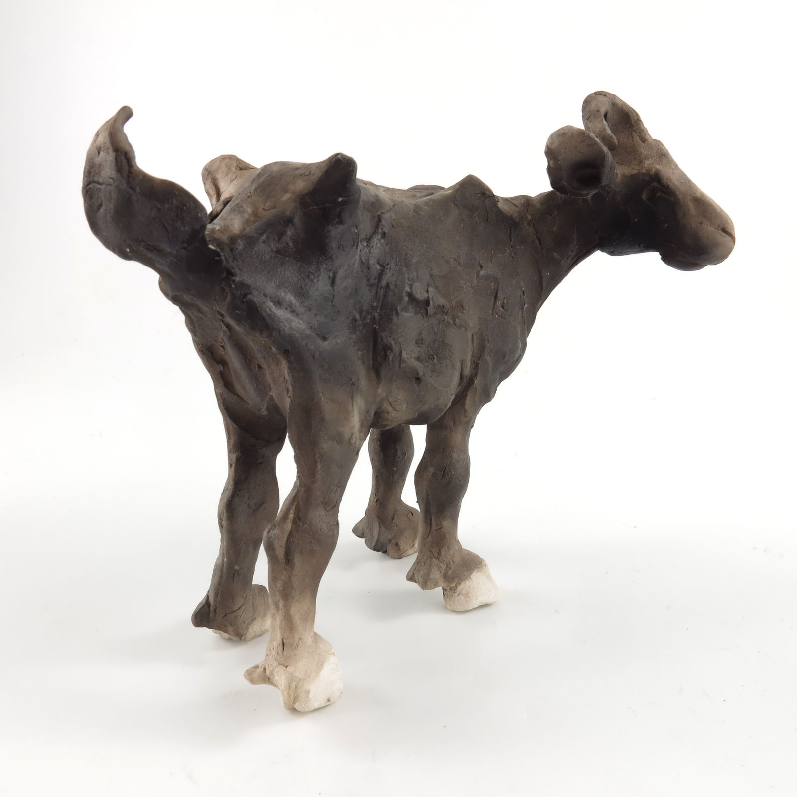 Chris Cummings, Goat