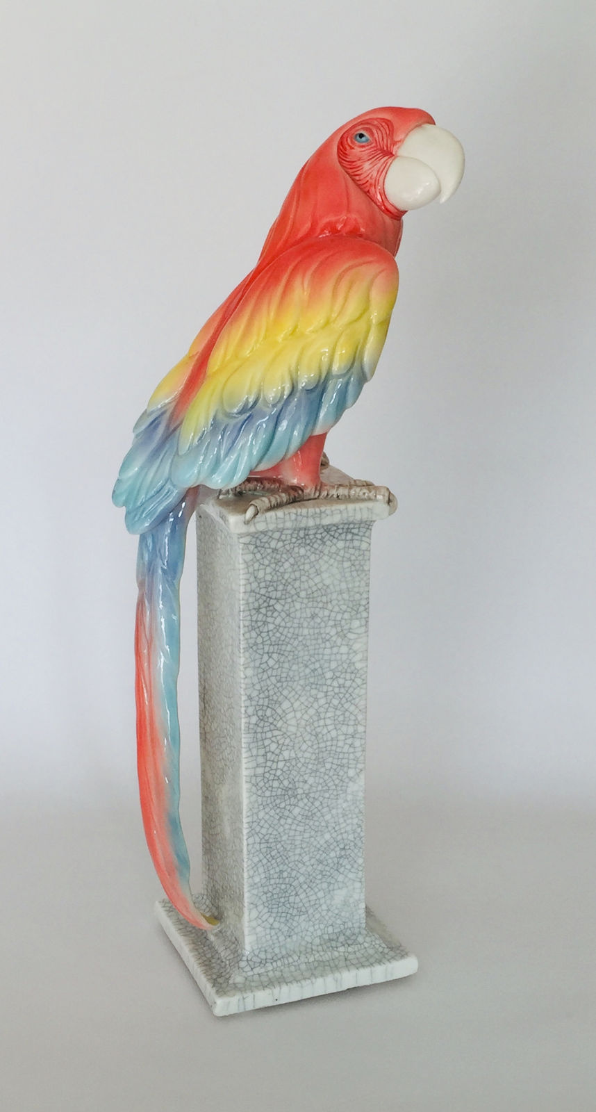 Marion Stewart, Macaw