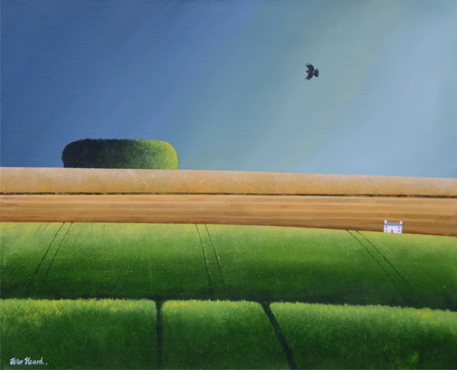 Peter Heard, Crow - SOLD
