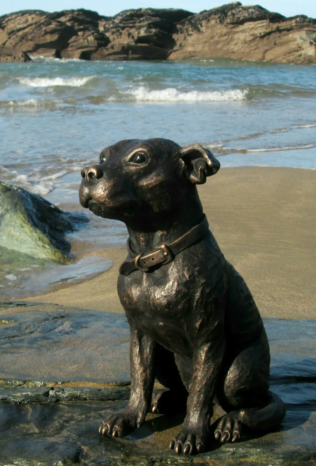 Suzie Marsh ARBS, Baxter - sitting Staffy