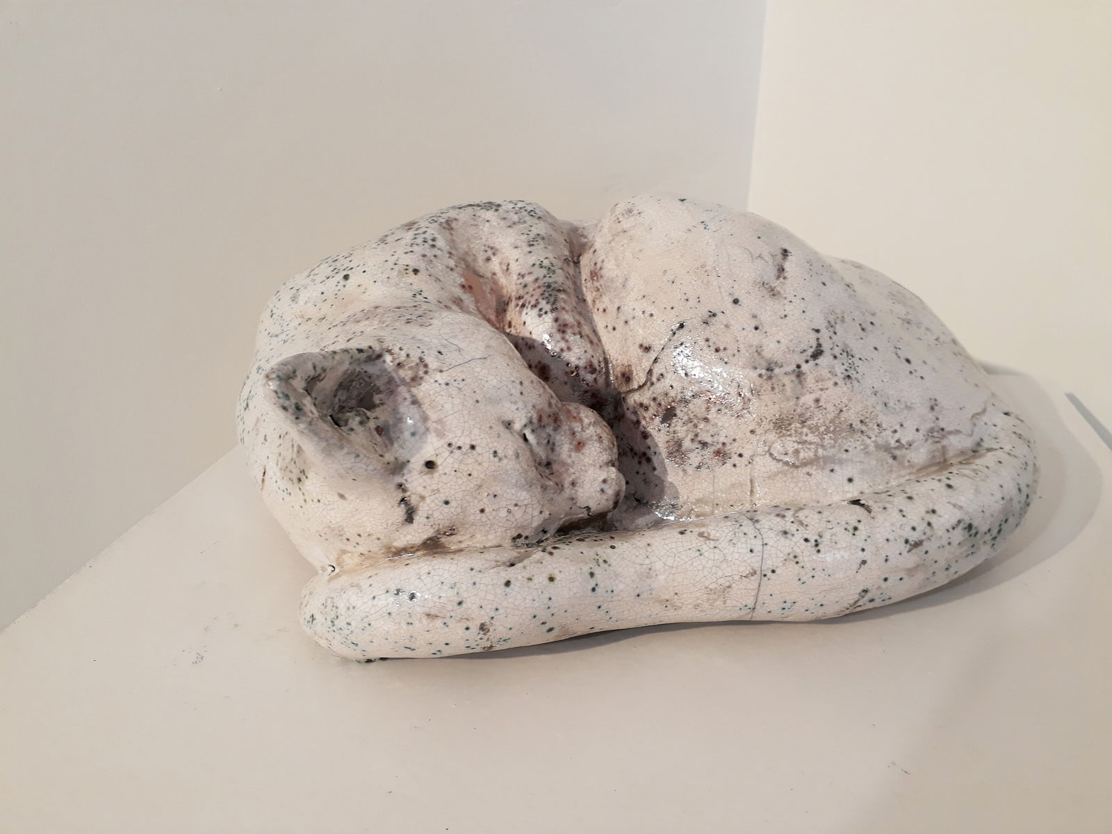 Christine Baxter, Curled cat