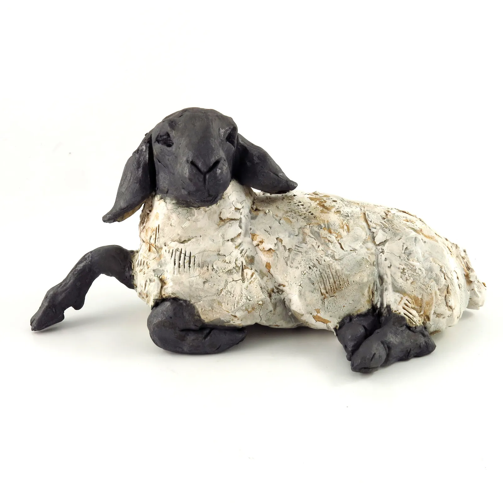 Chris Cummings, Sheep lying medium SOLD