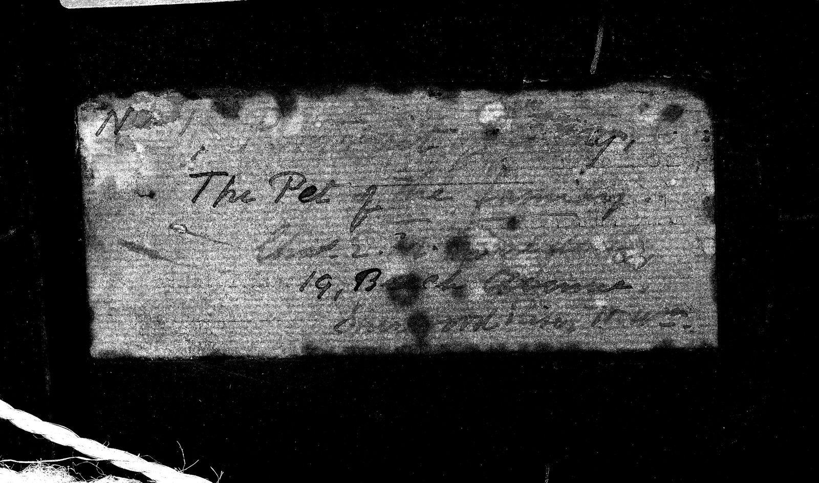 English School, 20th Century, The pet of the family