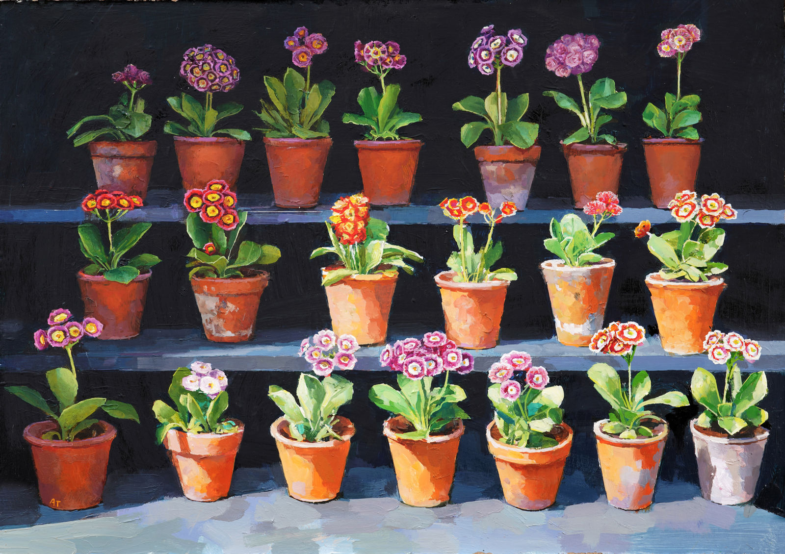 Alan Thompson, Auricula Theatre