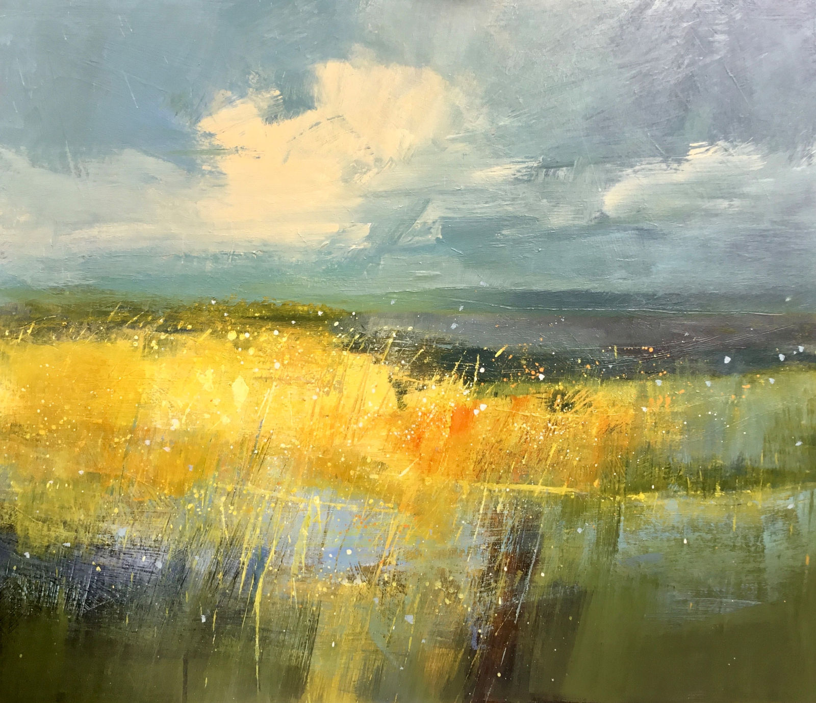 Richard Barrett, Wild pastures and blue skies