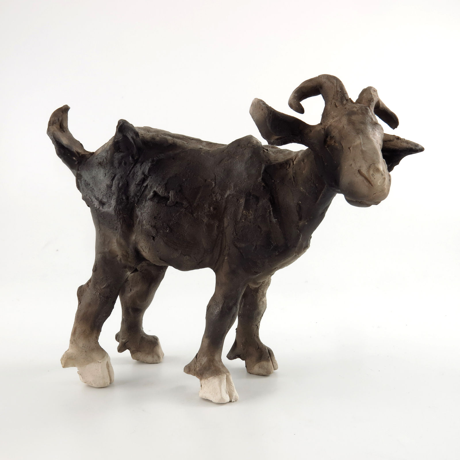 Chris Cummings, Goat