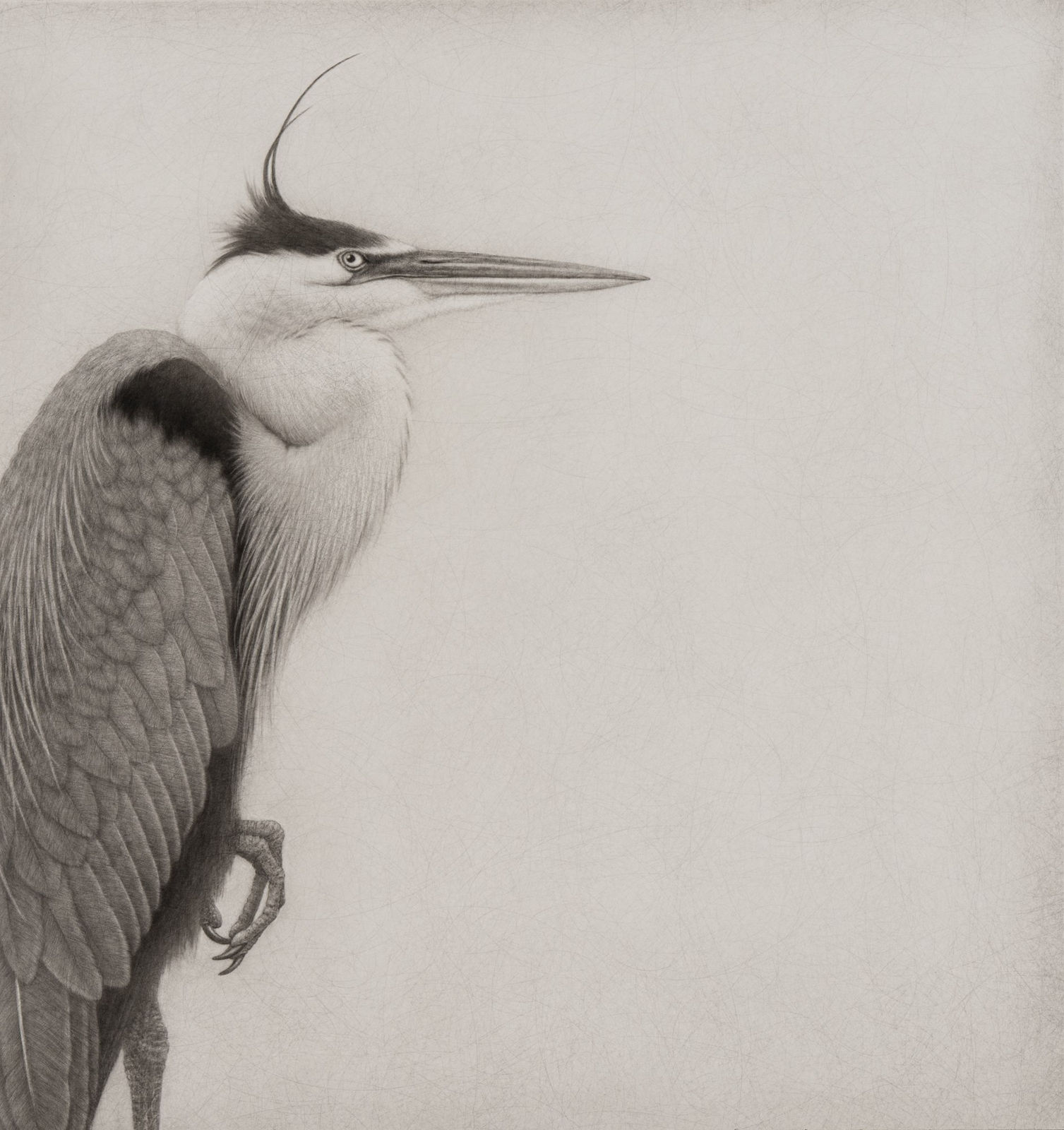 Lee Andre, Great Blue III, 2024