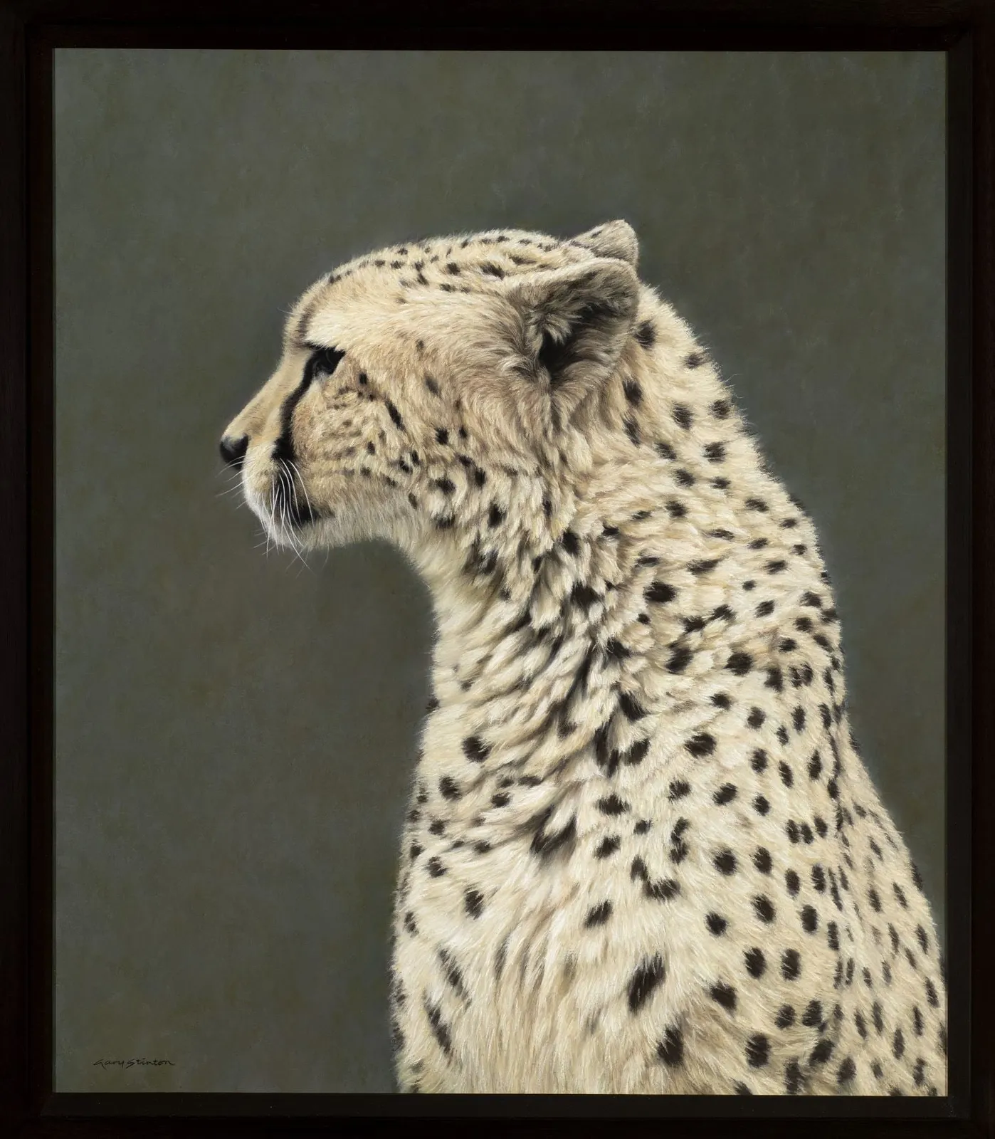 Gary Stinton, Moment With a Cheetah, 2024