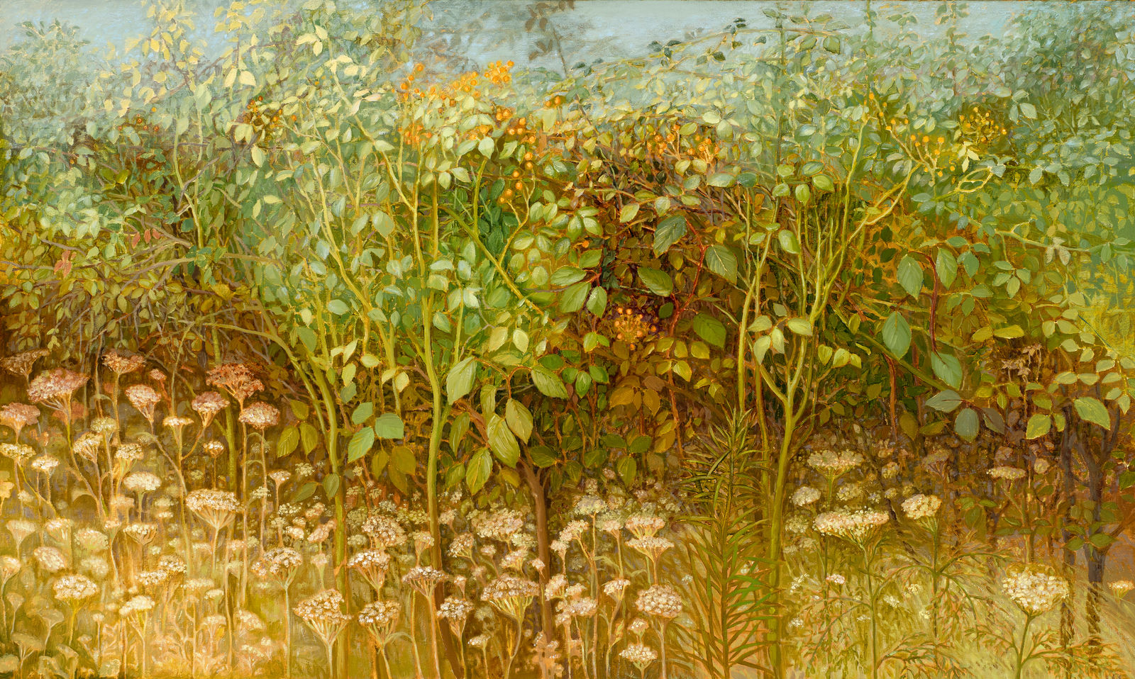 Jane Wormell, Autumn Rose Hedge