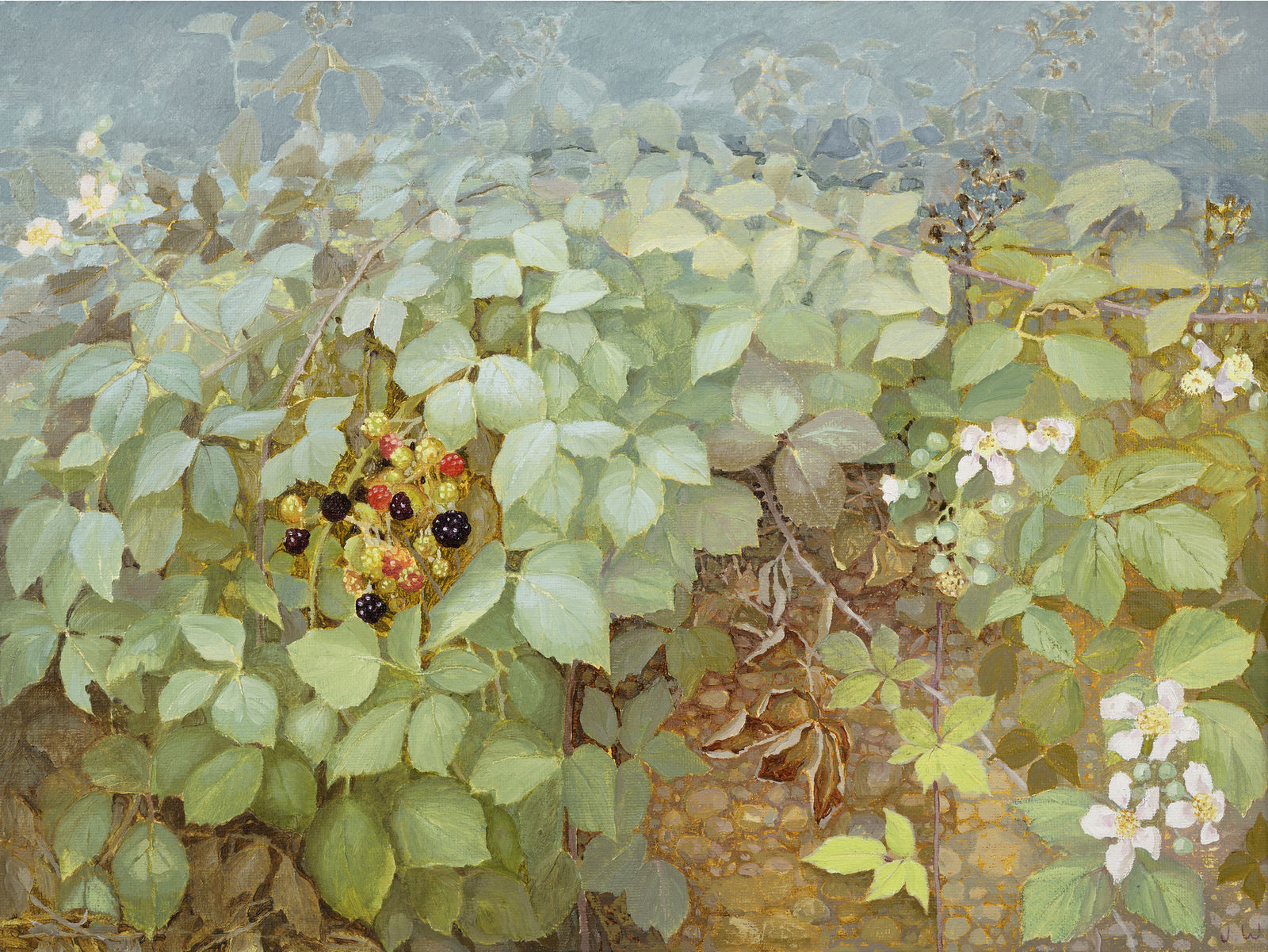 Jane Wormell, Blackberry Hedge III