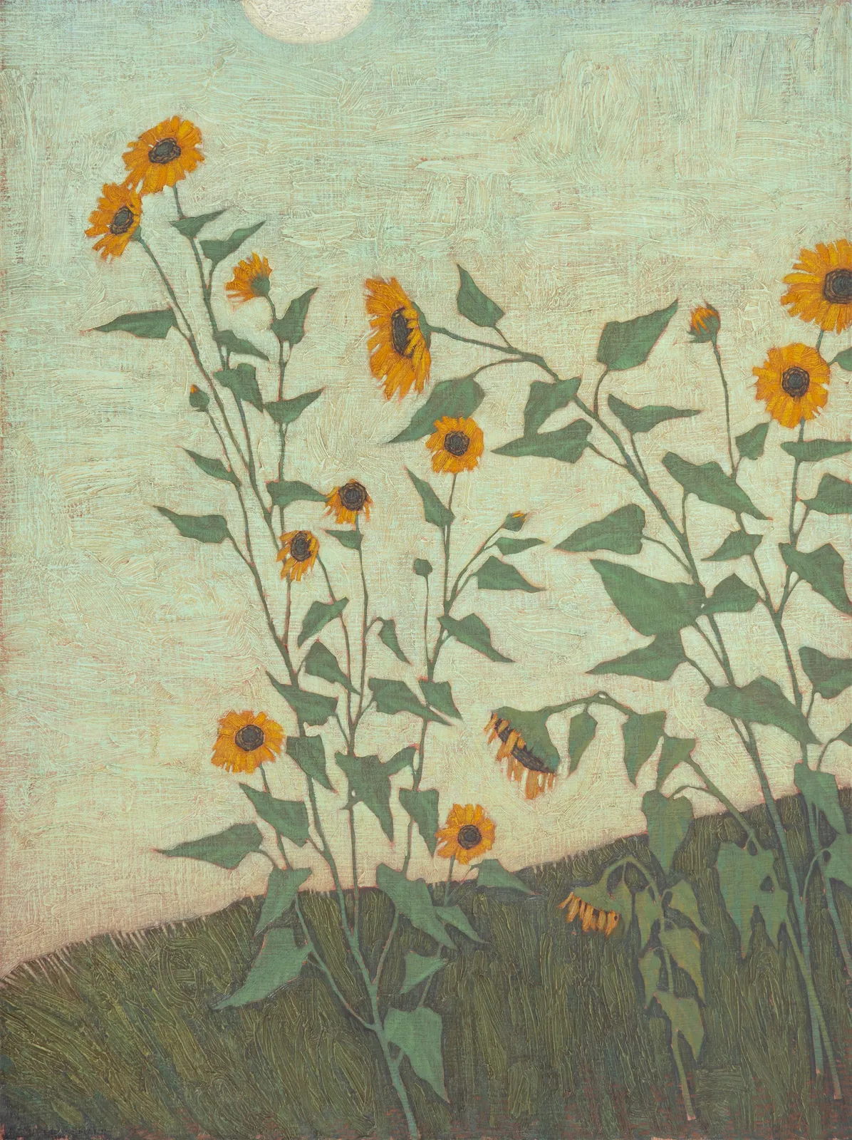 David Grossmann, Sunflowers on Green, 2024