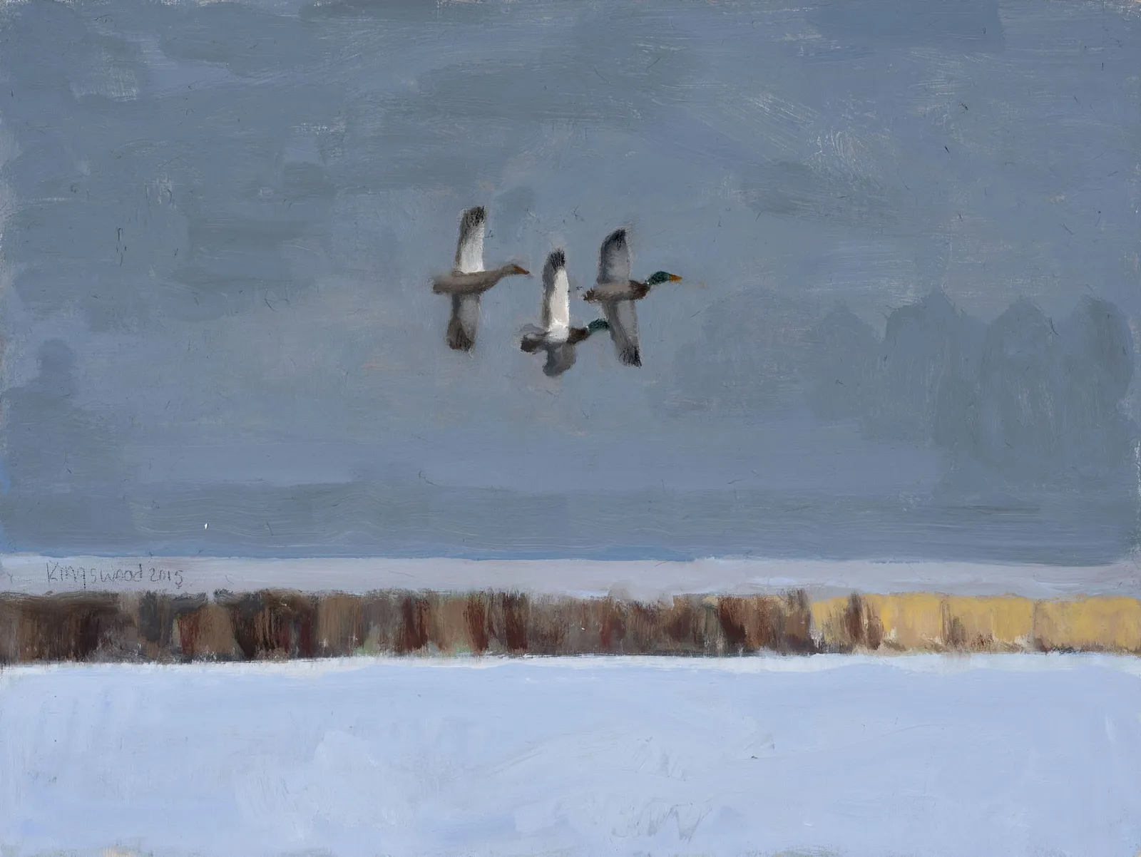 Ron Kingswood, Late Light