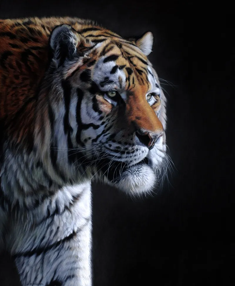 Gary Stinton, Amur Tiger