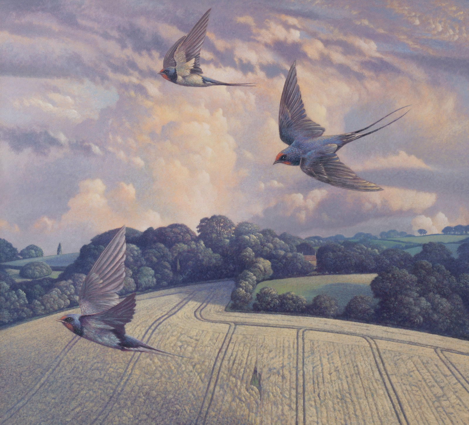 James Lynch, Swallows Dancing Hill, 2021