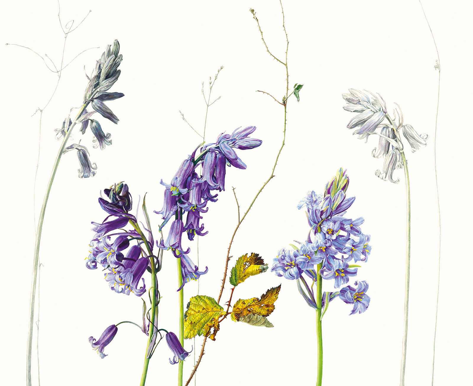 Rosie Sanders, Bramble Leaf, 2021