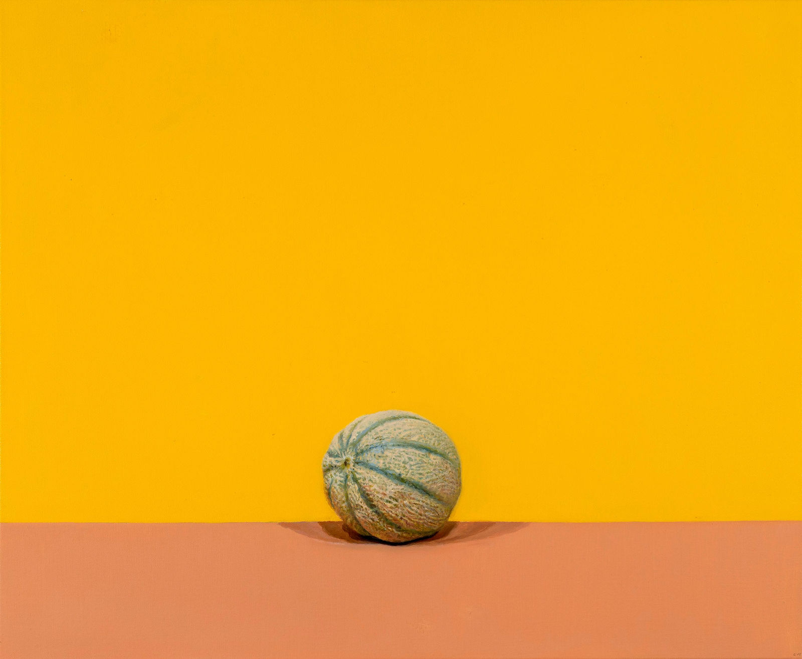 Craig Wylie, An eye in the desert (chameleon), 2024