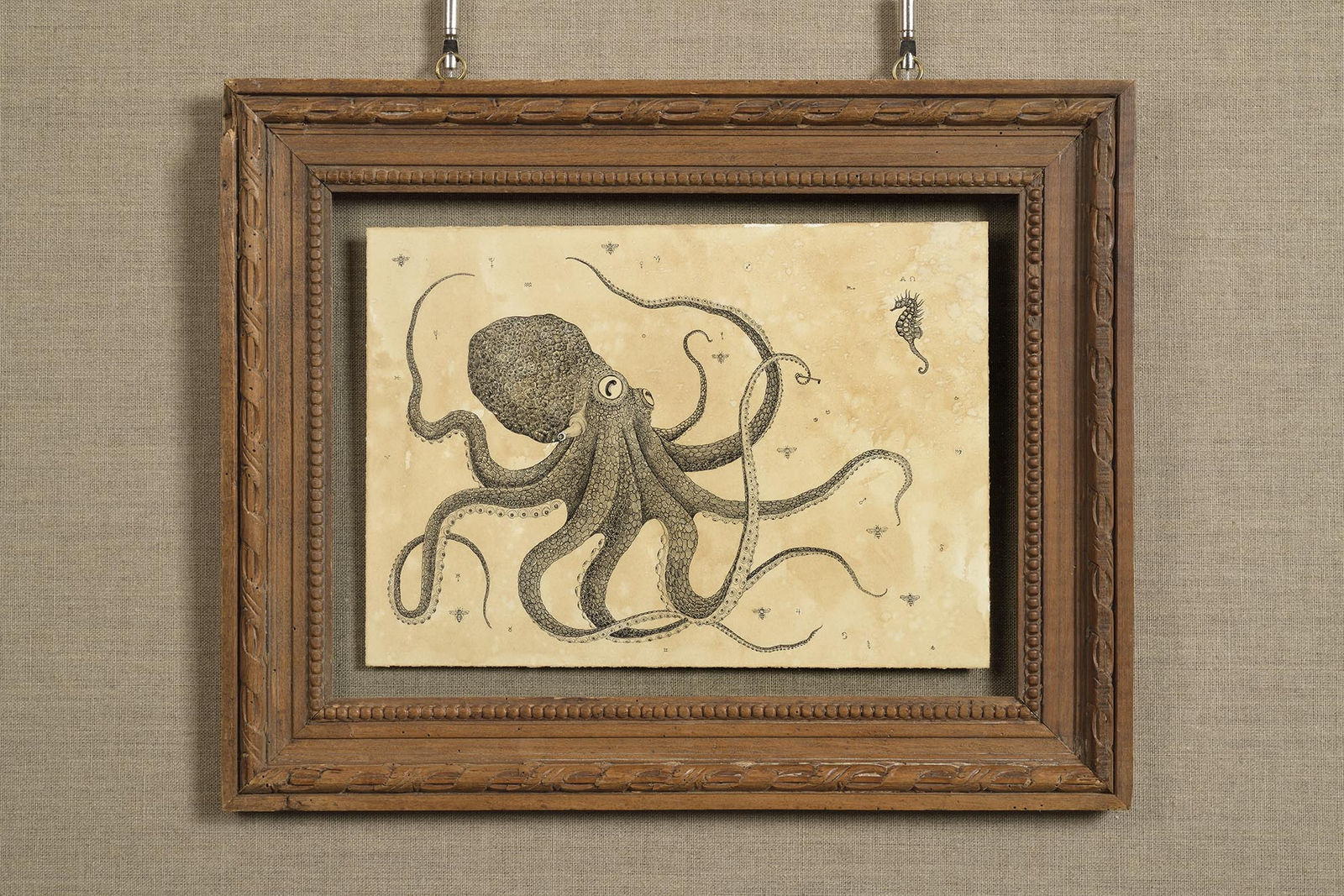 Andrea Collesano, Octopus, 2020