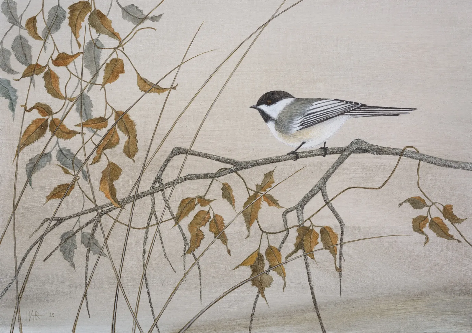 Harriet Bane, Black-Capped Chickadee