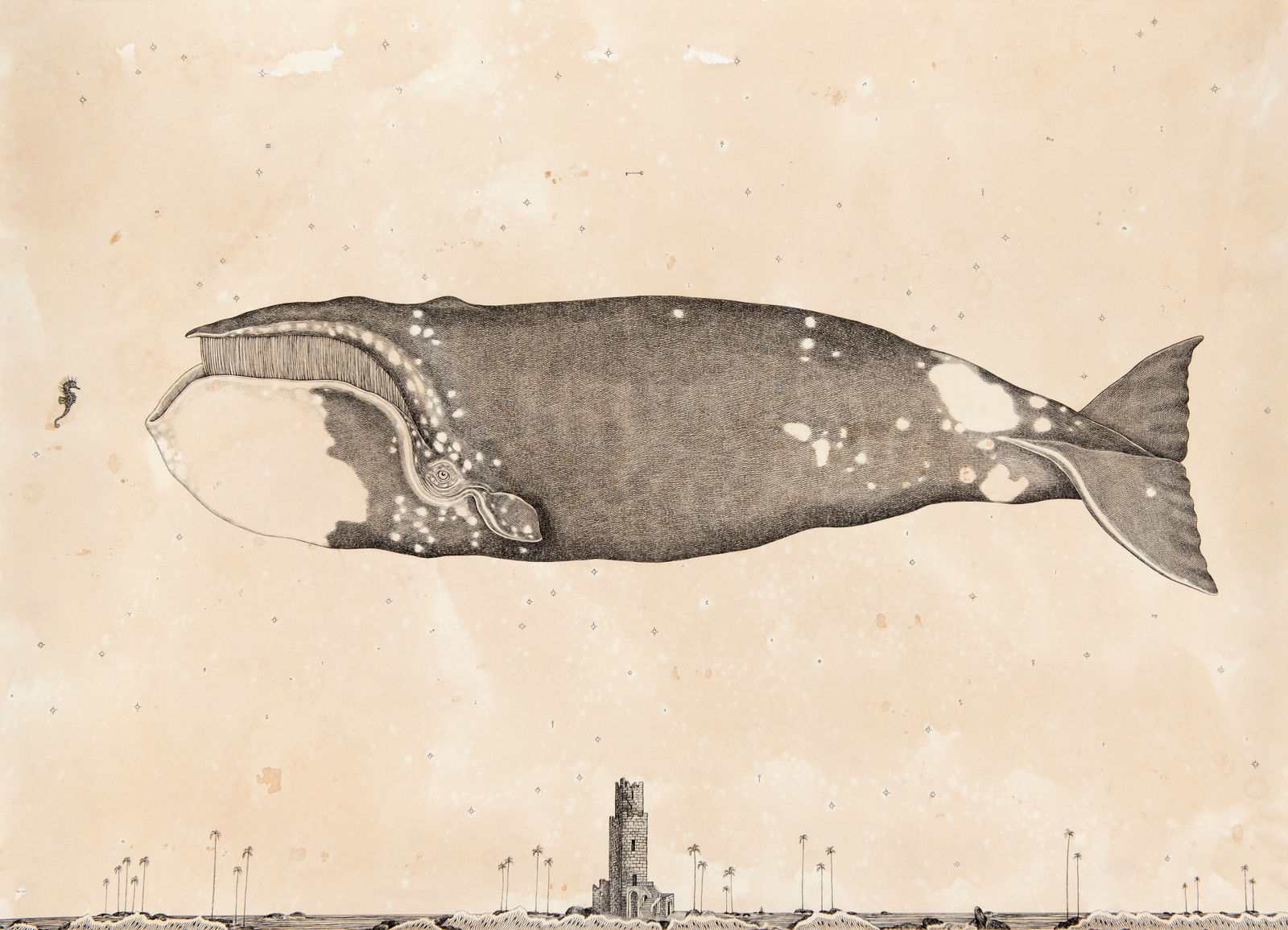 Andrea Collesano, Patronus, 2023