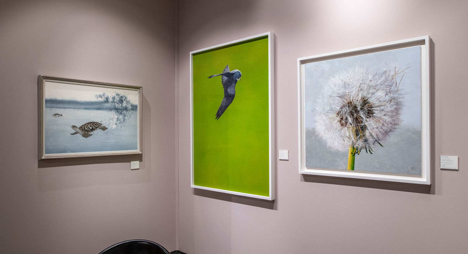 Tim Hayward, Peregrine Falcon - Green, 2023