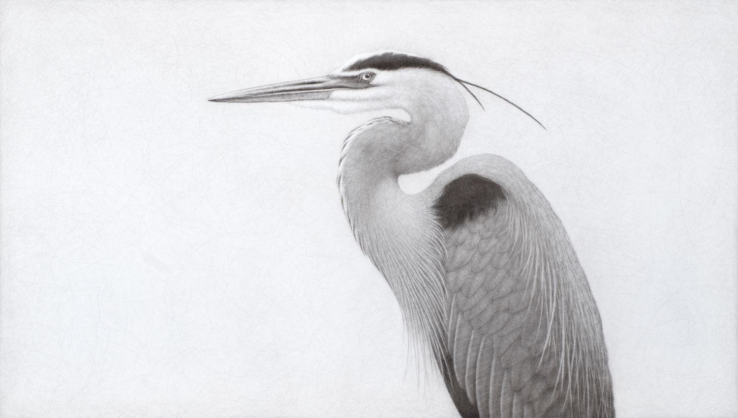 Lee Andre, Great Blue II , 2024